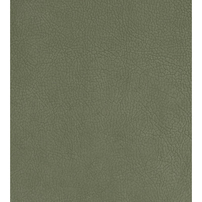 Essential Leathers Georgia Suede Fabric
