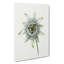Passion Flower by Jean Bernard - Wrapped Canvas Drawing - Wrapped Canvas-55366511