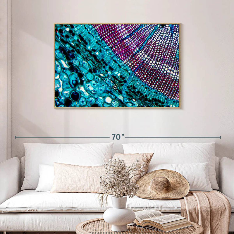 Pine Stem Under Microscope, Floating Frame Natural Wood, 43" X 29"