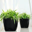 Quadro Premium Pot Planter-16493066-16493069