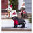Dog Plastic Garden Statue
