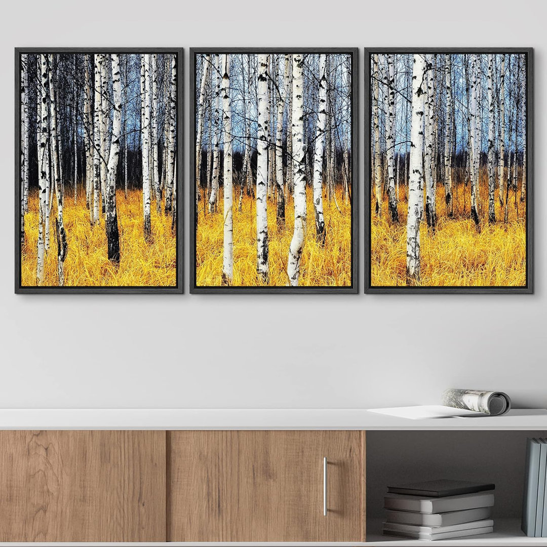 Aspen Birch " Aspen Trees Forest Yellow Grass Field Autumn Fall " 3 - Pieces IDEA4WALL