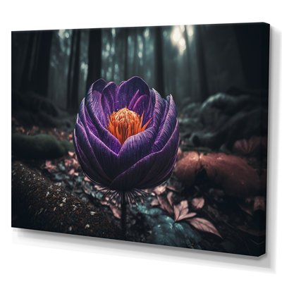 «A Blooming Crocus Flower in Winter I», photographie sur toile