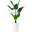 147cm Plant