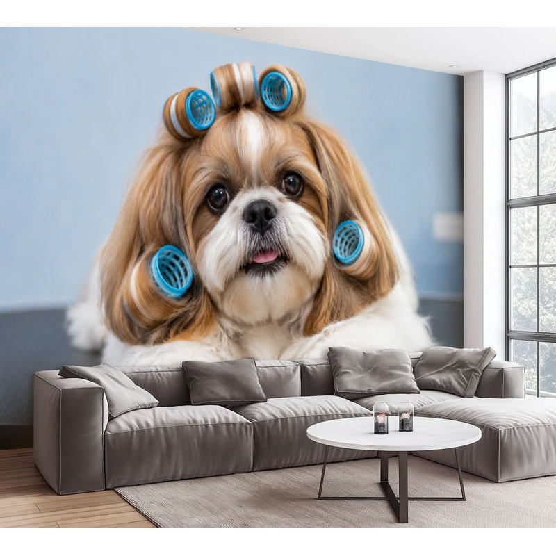 Papier peint auto-adhésif Cavalier King Charles Spaniel, L 100,08 po x l 144 po