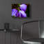 «Purple Rain» par Pamela Plummer-936616352