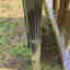 Photos des clients 3 de 23
