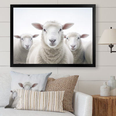 " White Minimalist Whie Sheeps "