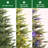  2ft Prelit Mini Christmas Tree, PE Artificial Tabletop Tree with Warm White Plug-In Lights, Realistic Branch Tips for Home Office Decor, Green