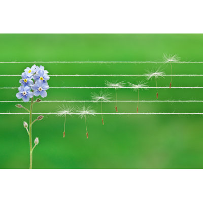 Summer Melodies by AZemdega - Print