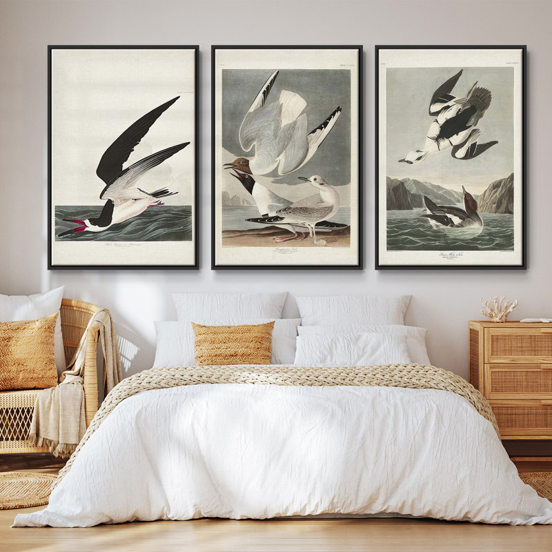 Pl 251 Pelican brun - ensemble de 3 cadres flottants sur toile, Noir, H 27 po x l 54 po