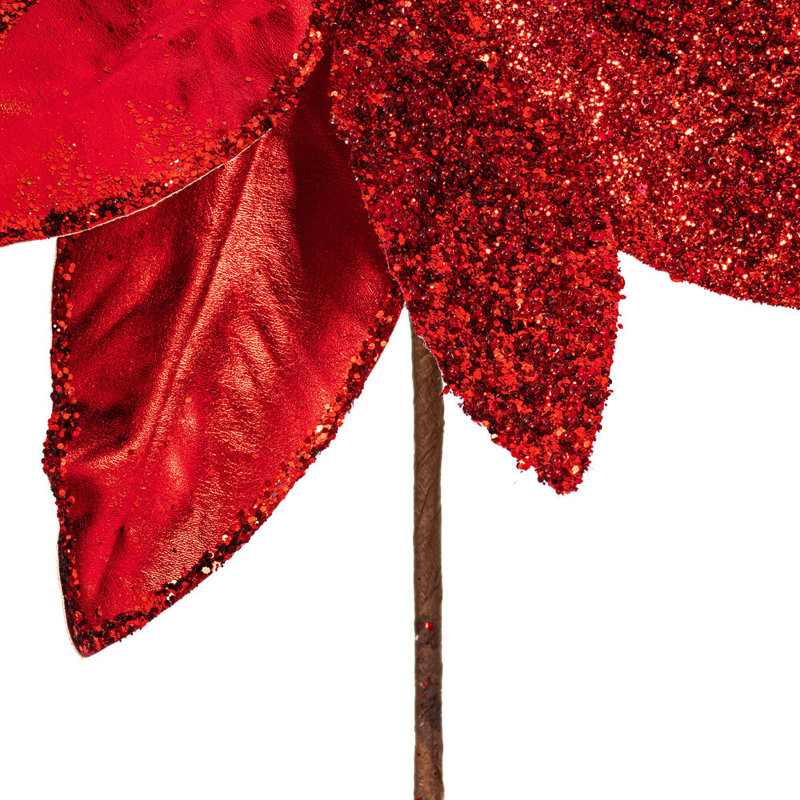 Tiges de poinsettia, Rouge