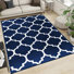 AVA NAVY