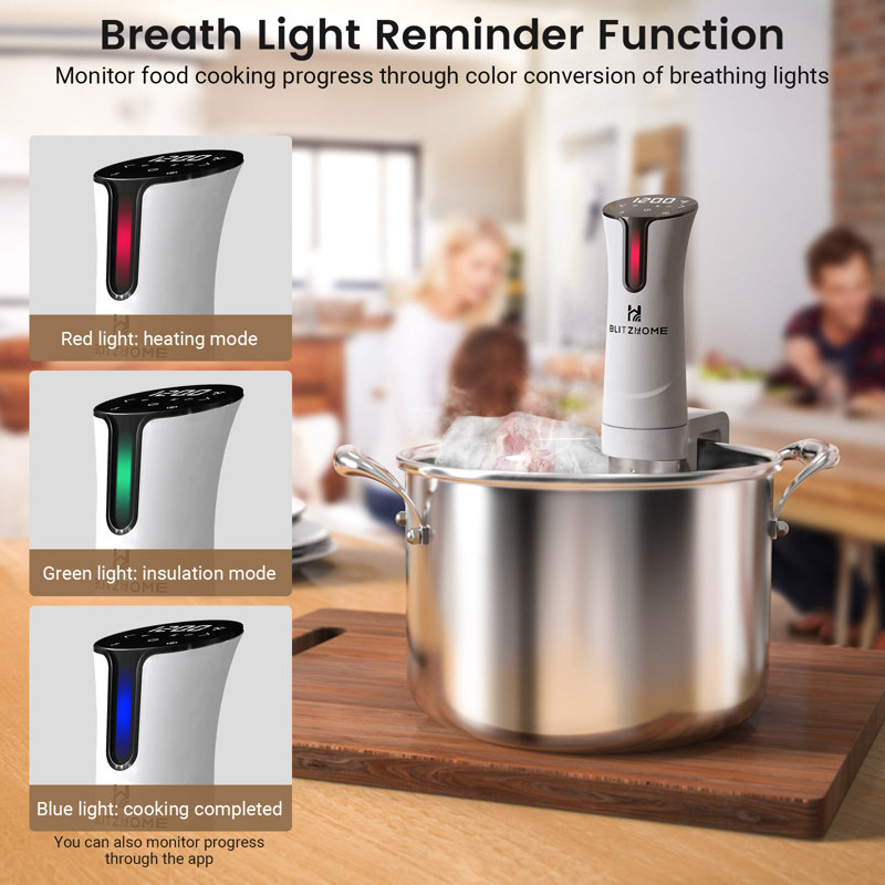 Cuiseur sous vide WIFI 1100W avec recette APP, machine sous vide de précision, température de circulation immersion ultra-silencieuse et affichage numérique