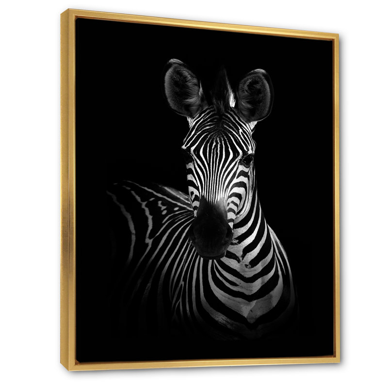 Zèbre en noir et blanc - reproduction d'art sur toile, H 36 po x l 24 po x P 1 po, Cadre flottant doré