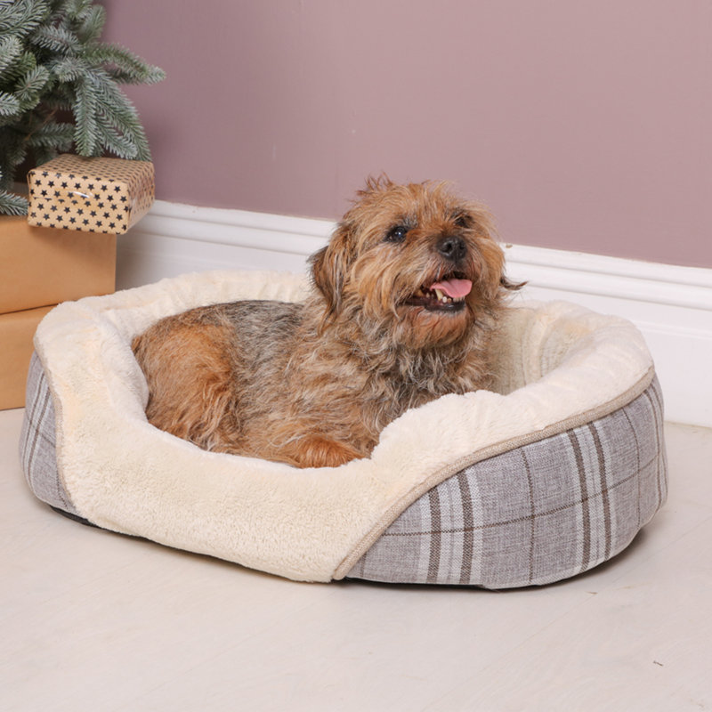 Kurtz Polyester Pet Bed, Medium