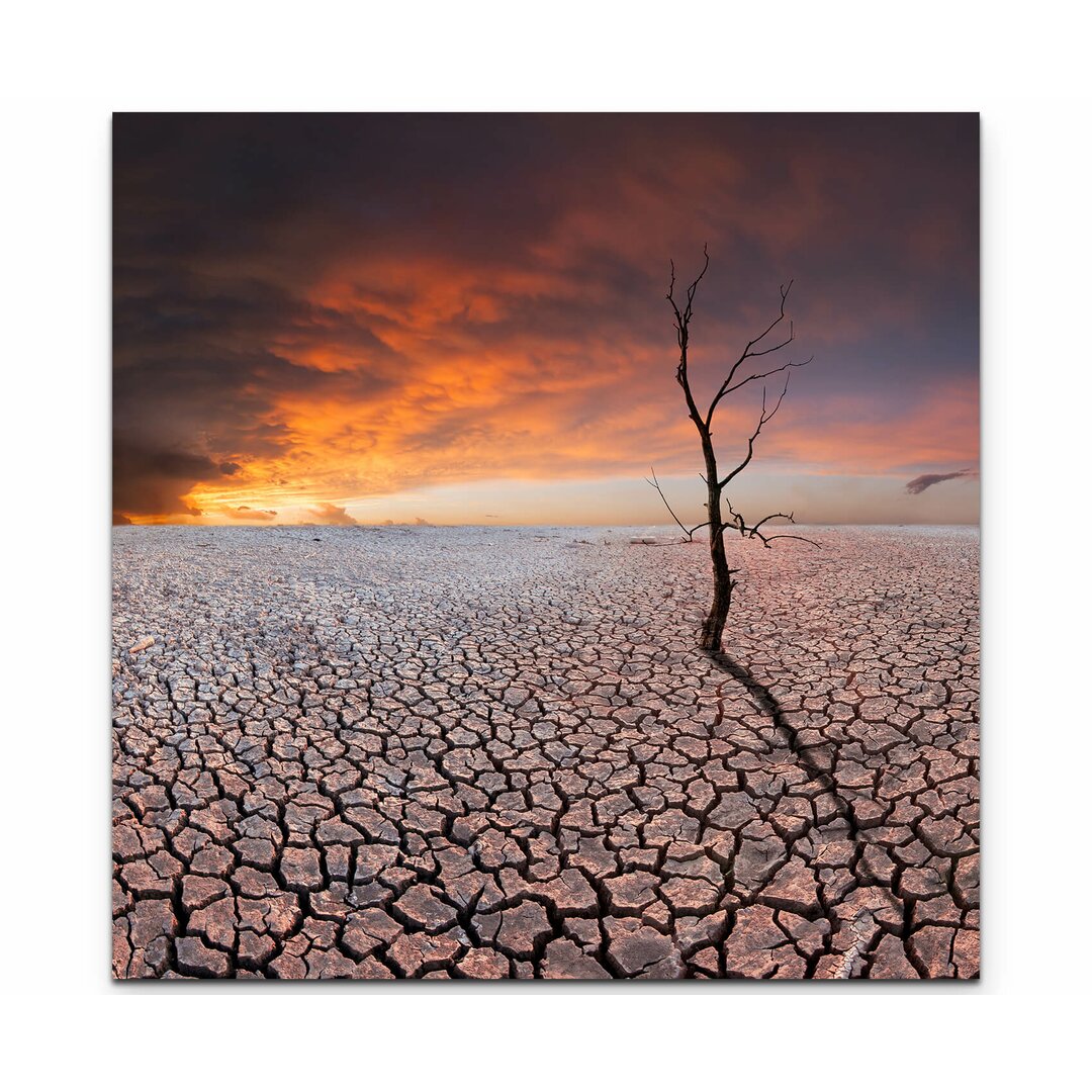 Leinwandbild Vertrockneter Baum auf trockener Erde