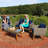 Tirrell 4 - Person Patio Conversation Set