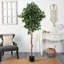 Faux Ficus Tree in Planter-1130419930