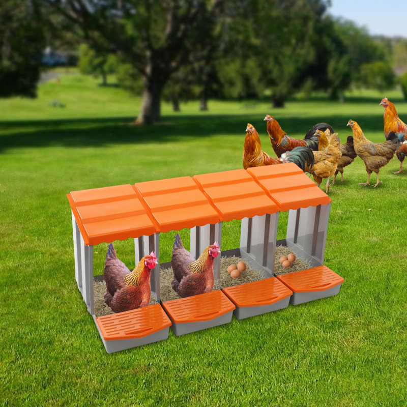 4-Compartment Chicken Nesting Box With Egg Collection, Orange