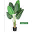 Fausse feuille de bananier en pot-701061187