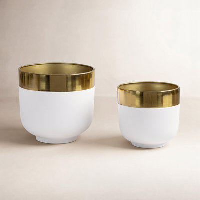 Fernhurst 8" Pot Planter
