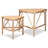 Nancee 20.9'' Tall 3 Legs Rattan End Table Set