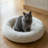 Pet Bed-1203162680