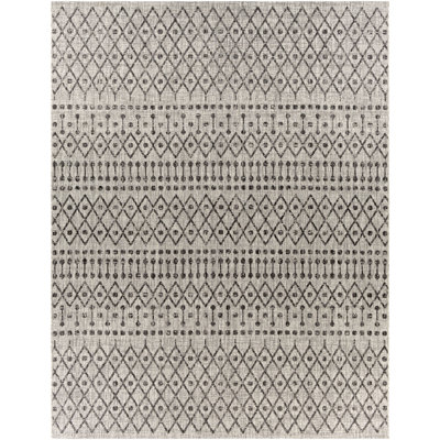 Hongming Indoor / Outdoor Rug