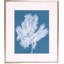 Monochrome Tulip II Print by Goldberger