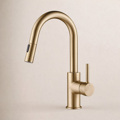 Luxe Pull-Down Kitchen Faucet with Accessories