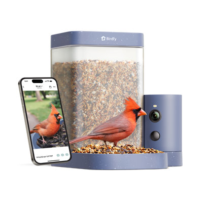 Mangeoire d'oiseaux intelligente avec caméra Birdfy, vidéo fluide 60FPS, identification automatique des oiseaux et alertes instantanées, capture automatique, cadeau parfait pour les amoureux des oiseaux
