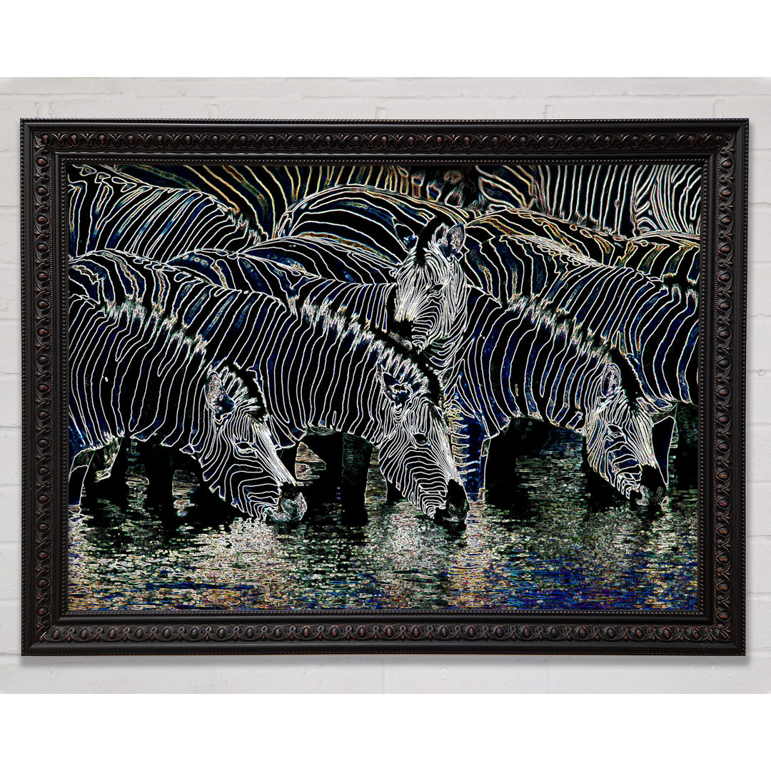 Zebra am Wasserloch Gerahmter Druck Wandkunst