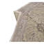 Wool Oriental Area Rug in Beige