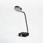 Eltisley Metal USB Desk Lamp