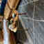 Photos des clients 4 de 4