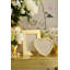Martin Metal Picture Frame