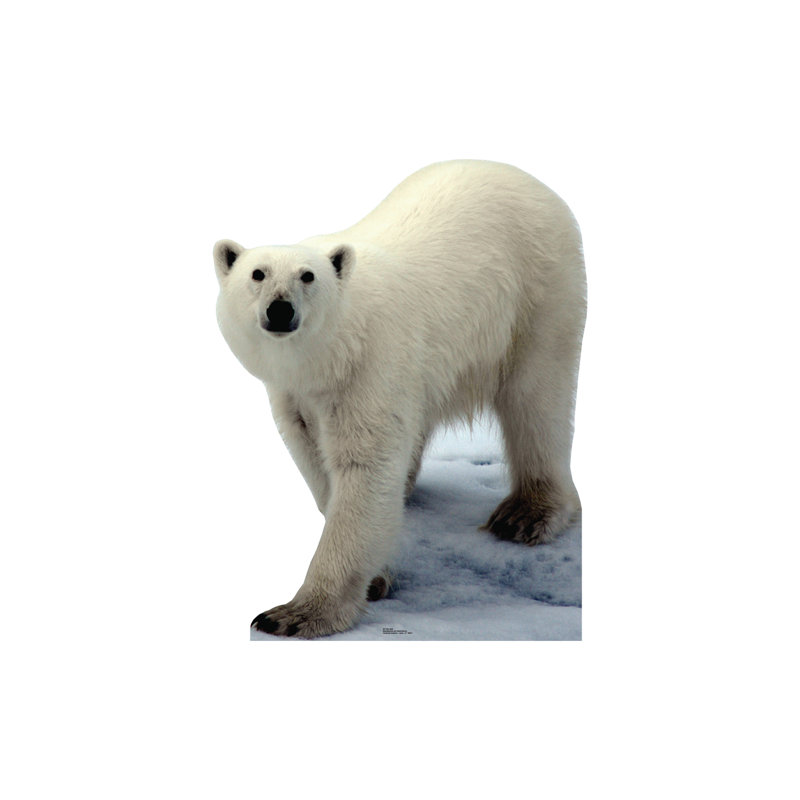 Animals 48'' Animals Cardboard Standup