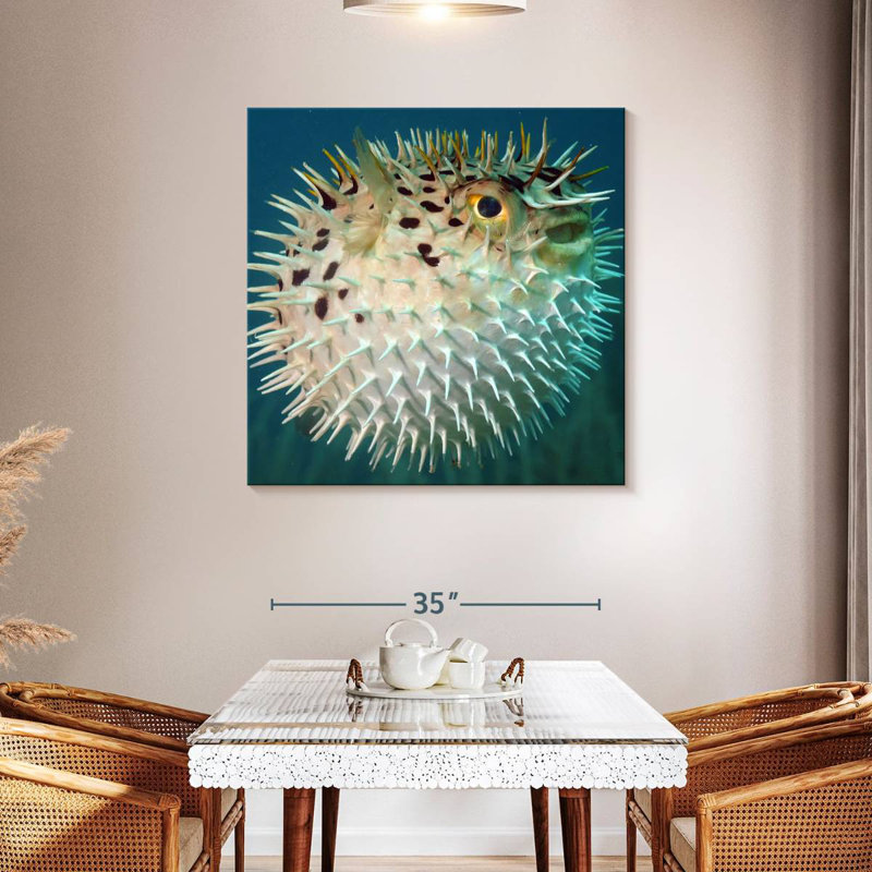 Brampt Puffer Fish