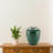 Jairen Sapphire Large Adult Urn-2042242418