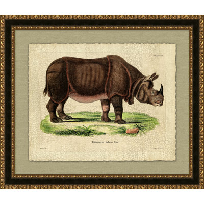 Rhinocerous Indicus Print