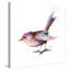 " Pretty Bird "-27658935