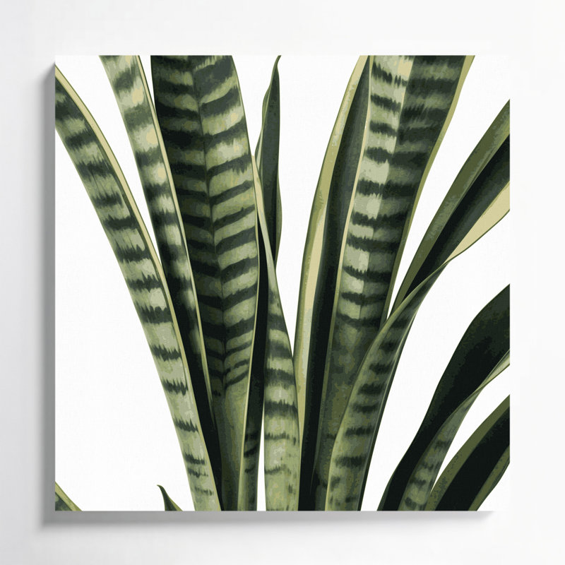 "Watercolor Botanical 49", art mural sur toile beige, H 12 po x l 12 po