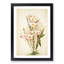 Magnolia Flowers Illustration Tab. 9 by Frederick Sander - Picture Frame Painting Print-55760433-55760436