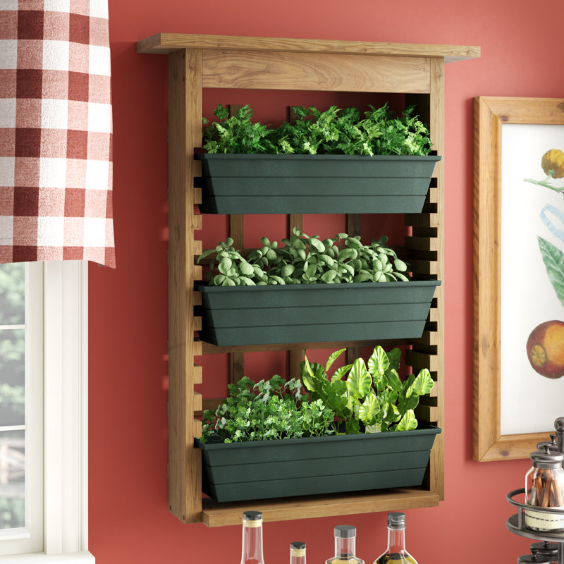 Dingle Wall Planter
