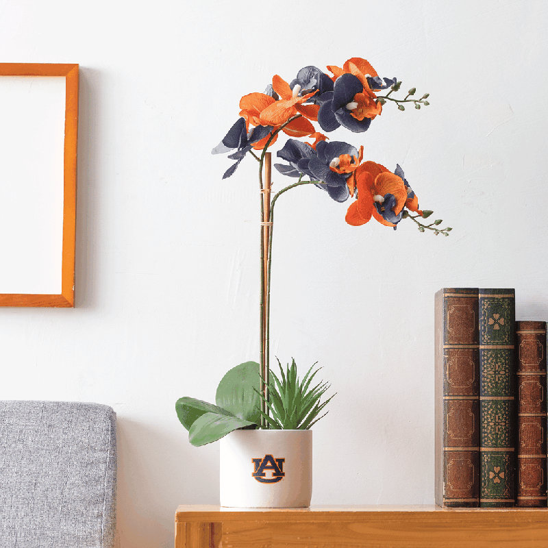 Silk Orchid Arrangement in Vase, Auburn