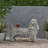 Cocker Spaniel Dog Statue