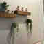 Photos des clients 1 de 1