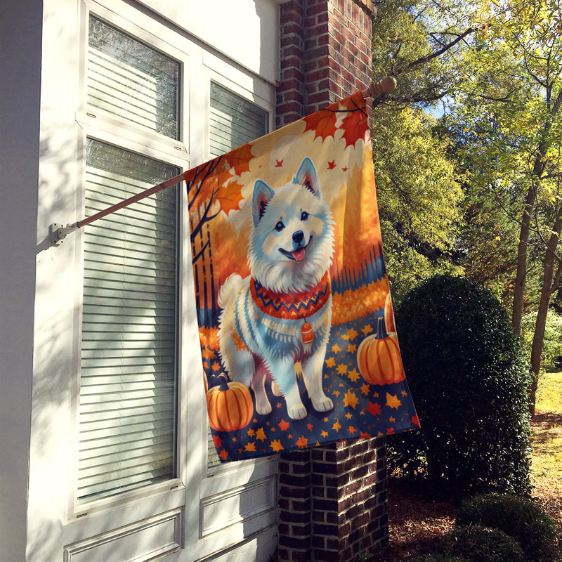 Drapeau de maison en polyester à double face H 40 po x l 28 po