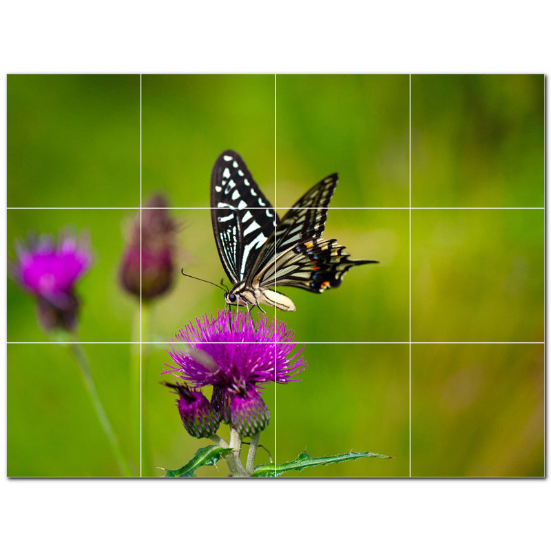 Butterfly Photo 6'' x 6'' Satin Ceramic Decorative Mural